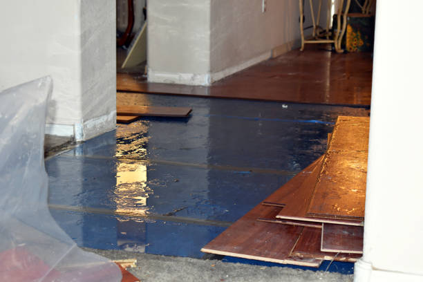 Professional Basement Flood Cleanup technician working in Hagerstown, MD